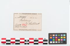 Etiketten zu Bronzebrillenfibel (NHMW-PRAE-024997)